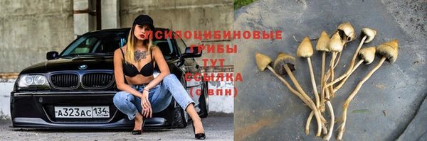 эйфоретик Зеленодольск
