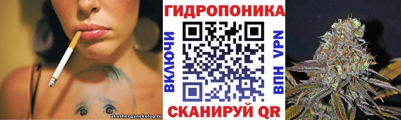 Купить где Нытва МАРИХУАНА VHQ